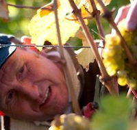 Puddleduck Vineyard - Newcastle Accommodation