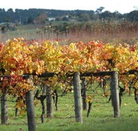 Apsley Gorge Vineyard - New Castle Tourism