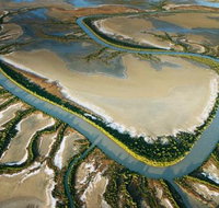 The Wilderness Gallery