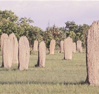 Magnetic Termite Mounds - New Castle Tourism