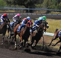 Alice Springs Turf Club - Newcastle Accommodation