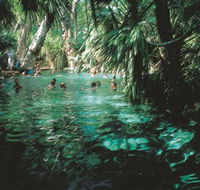 Mataranka Thermal Pool - Newcastle Accommodation