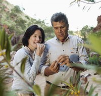 Simpsons Gap - Newcastle Accommodation