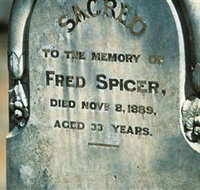 Stuart Town Cemetery - Newcastle Accommodation