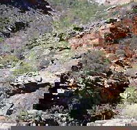 Serpentine Chalet Bush Camping Area - Newcastle Accommodation