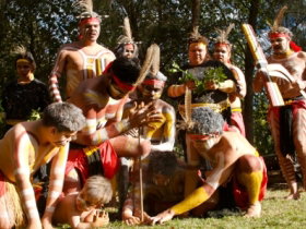 Riverlife Mirrabooka - Newcastle Accommodation 0