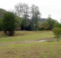 Brooyar State Forest - New Castle Tourism