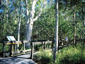 Noosa Heads QLD Newcastle Accommodation