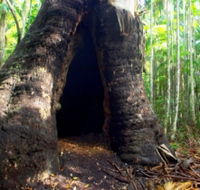 Tewantin National Park - New Castle Tourism