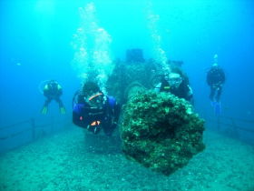 Pacific Paradise QLD New Castle Tourism
