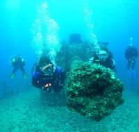 Ex-HMAS Brisbane Conservation Park - New Castle Tourism