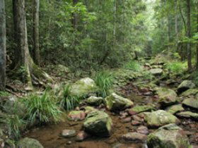 Amamoor QLD New Castle Tourism