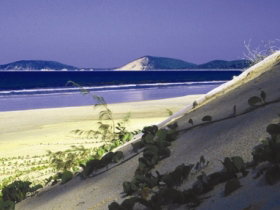 Cooloola, Great Sandy National Park - New Castle Tourism 0