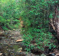 Mudlo National Park - Newcastle Accommodation