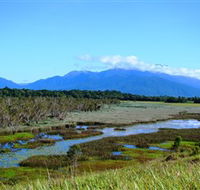 Eubenangee Swamp National Park - New Castle Tourism