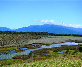 Eubenangee Swamp National Park - New Castle Tourism 0