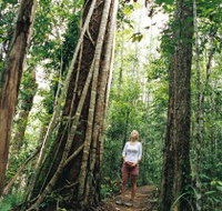 Wet Tropics - New Castle Tourism