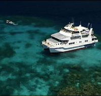 Fish Bowl Dive Site - Newcastle Accommodation