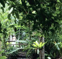 Flecker Botanic Gardens - Newcastle Accommodation