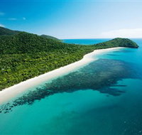 Cape Tribulation Daintree National Park - New Castle Tourism