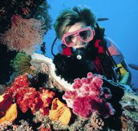 Osprey Reef - Newcastle Accommodation