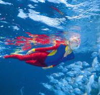 Pixie Pinnacle Dive Site - Newcastle Accommodation
