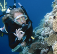 Moore Reef Dive Site - Newcastle Accommodation