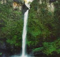 Nandroya Falls Circuit Track Wooroonooran National Park - Newcastle Accommodation