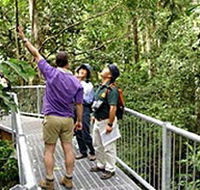 Daintree Discovery Centre - New Castle Tourism