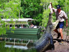 Hartleys Crocodile Adventures - New Castle Tourism 0