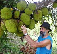 Cape Trib Exotic Fruit Farm - New Castle Tourism