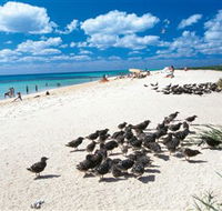 Michaelmas and Upolo Cays National Park - Newcastle Accommodation