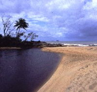 Russell River National Park - New Castle Tourism