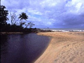 Russell River National Park - New Castle Tourism 0