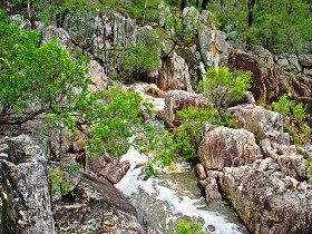 Crows Nest QLD Newcastle Accommodation