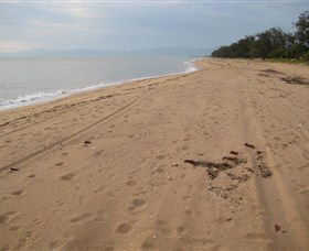 Ingham QLD New Castle Tourism