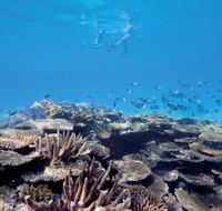 Australian Institute of Marine Science - Newcastle Accommodation