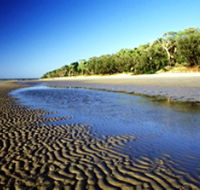 Burrum Coast National Park - New Castle Tourism