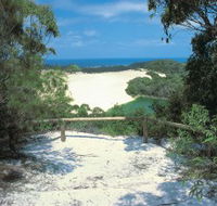 Lake Wabby Track - Newcastle Accommodation