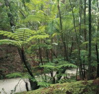 Fraser Island Great Walk - Newcastle Accommodation