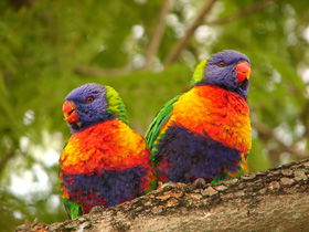 May Downs QLD New Castle Tourism
