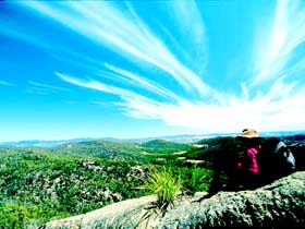 Girraween National Park - Newcastle Accommodation 0