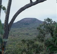 Mount Fox - New Castle Tourism