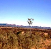 Tambos Wilderness Way - New Castle Tourism