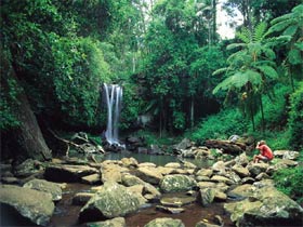 Tamborine National Park - Newcastle Accommodation 0