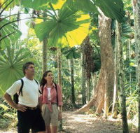 Licuala State Forest - New Castle Tourism
