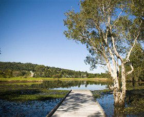 Eagleby Wetlands - New Castle Tourism 0