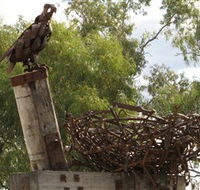Blackall Sculpture Trail - New Castle Tourism