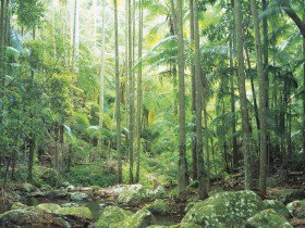 Python Rock - Newcastle Accommodation 0