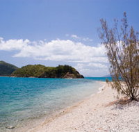 Paddle Bay Track and Campsite